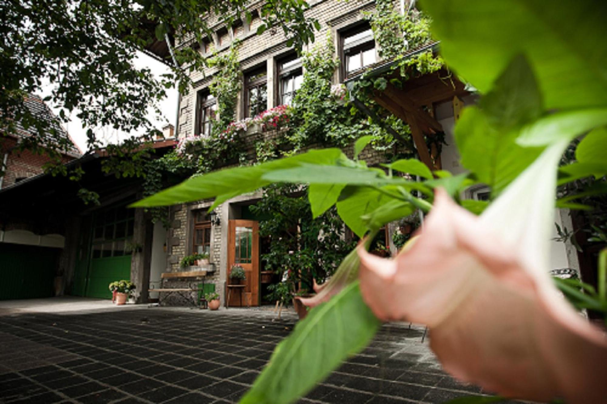 Gaestehaus Guntersblum Екстериор снимка