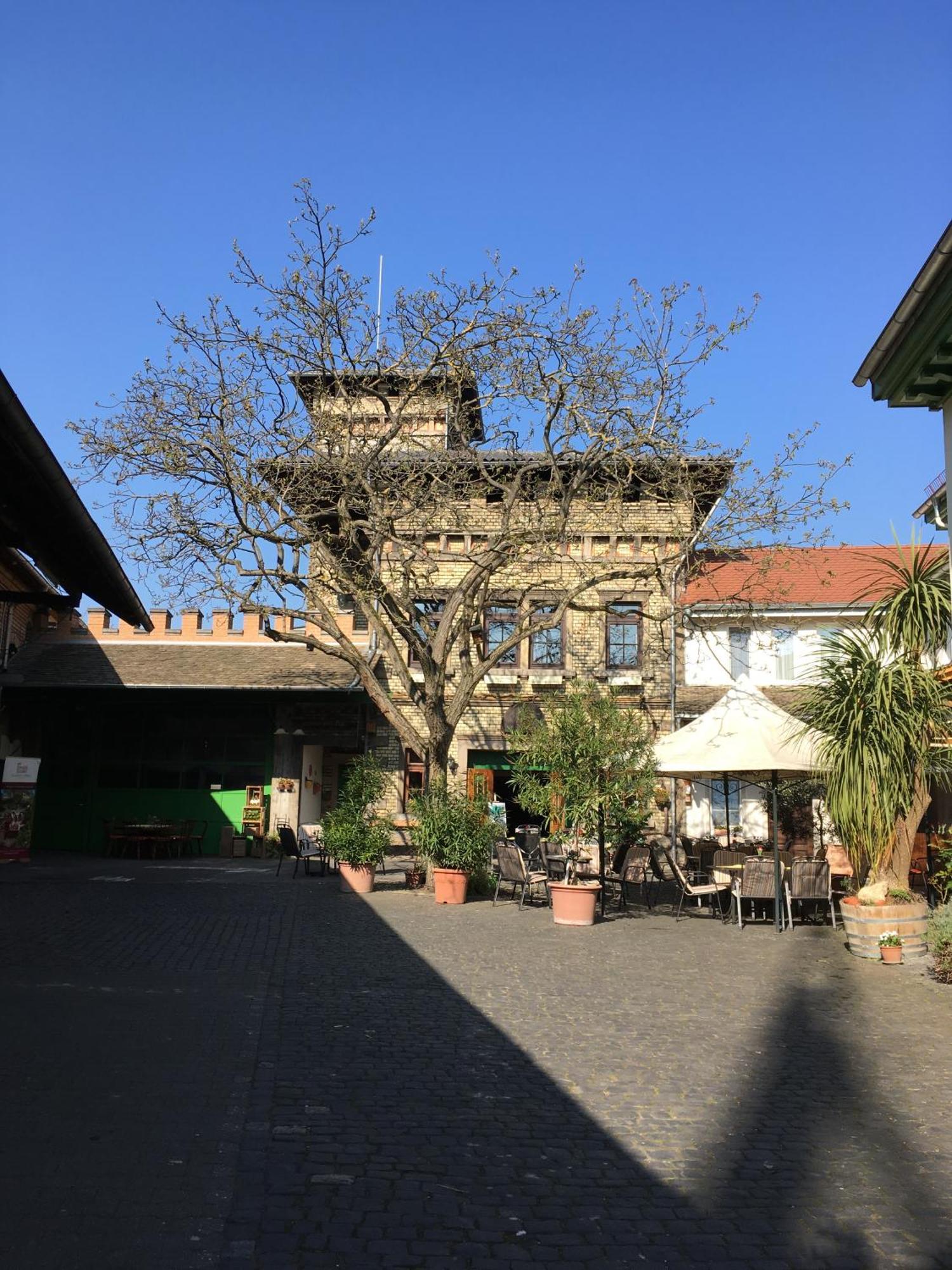 Gaestehaus Guntersblum Екстериор снимка
